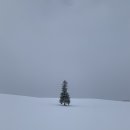 (자)제일택시 | 비에이 택시투어-후기, 예약법, 뚜벅이, 버스투어 vs 택시투어