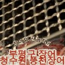 청수원풍천민물장어
