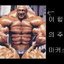 합성사진으로 유명한 보디빌더 - 마커스 룰 이미지