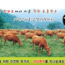 건우축산2 이미지