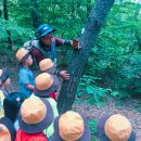 한울숲유치원 이미지