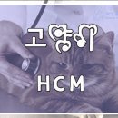 녹양동물병원
