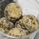 콩이랑 초이랑 이미지