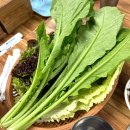 도야지에꿈식육식당