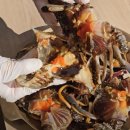 내고향밥상 | 6시내고향 완도 치유밥상 식당 알아보기