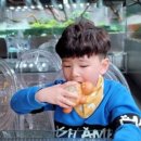 아쿠아펫 카페수족관 이미지