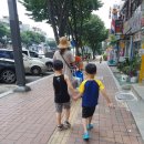 양짓말 물놀이장 이미지