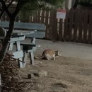 아라뜰데이지 | 강화도 "아라뜰펜션 데이지" 솔직후기