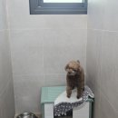 동글동글 Daum카페