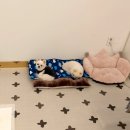 88개발소 이미지