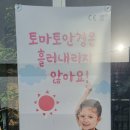 금송안경콘택트 이미지