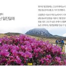 6월7~8일 제주도 털진달래&한라산 특별산행 이미지