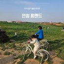 농협경제지주 안성팜랜드 아이랑 가볼 만한 곳 5월 여행지 추천