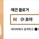 퍼피포레스트 이미지