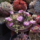 환성농장 이미지