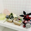 송도 셀프 사진관 &#39;퐁퐁 달리아 스튜디오&#39;