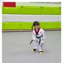 한양대 우성태권도장 이미지