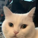 충암고교 학교 이미지