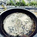 순한농장 이미지