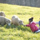 한일목장 이미지