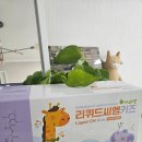 (주)씨엠 | 리퀴드씨엠키즈 내돈내산 후기