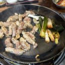 울산대파 이미지