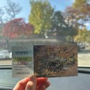 범어사지하철역 1 | 부산 범어사 단풍(25.01.09) | 부산 가을 단풍 명소