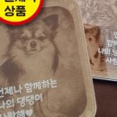 믿음문구팬시