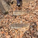 난고김삿갓문학관 | 영월군, 충북 단양군, 소백산맥줄기, 난고 김삿갓 주거지, 김삿갓문학관 주차장, 인문학 탐방, 소요시간