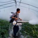 김주석농장 이미지