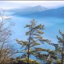 아리산 이미지