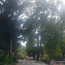 완산-134 이미지