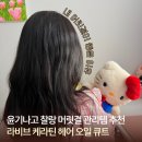라비브 | 라비브 케라틴 헤어 오일 큐트ㅣ윤기나는 머릿결 관리템 추천