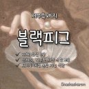 블랙피그엔산방산파크텔 | [제주흑돼지] 깔끔한 서귀포애견동반식당 산방산흑돼지 맛집 &#39;블랙피그&#39;