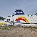 썬플라워펜션 이미지