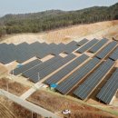 숲 태양광발전소 이미지