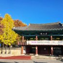 향교로 | 전주 향교(全州 鄕校) 은행나무 단풍 구경