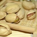 피스타치오 티스토리