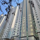 신대8차공인중개사사무소 | 순천 부동산, 순천 신대 6차, 8차 40평 안내 후기