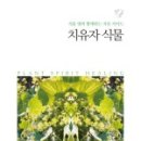식물A 이미지