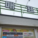 놀부주막 | 청주 27개월 아기랑 방문한 <2025 청원생명축제> 후기(입장권, 공연, 축제, 주차정보 0 )