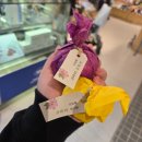 온새미로김밥 | 11월 맞이 10월 일상 모음집....(?)🍂 서탈하고 아일랜드 워홀 신청하고 환연 보고 러닝하는 일상