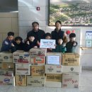 비룡태권도 이미지