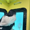 국제리더스클럽 이미지