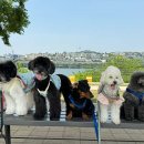 펫타리움 청담점 이미지