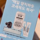 코코클린 코세정기 추천 내돈내산 사용후기