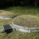 강원장의사 이미지