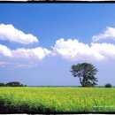 뭉게구름 이미지