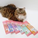 크리미 캣 네이버블로그