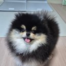 J-070 | [배곧 베이커리 맛집] 레브 베이커리, 치아바타가 맛있는 빵집 내돈내산 솔직후기